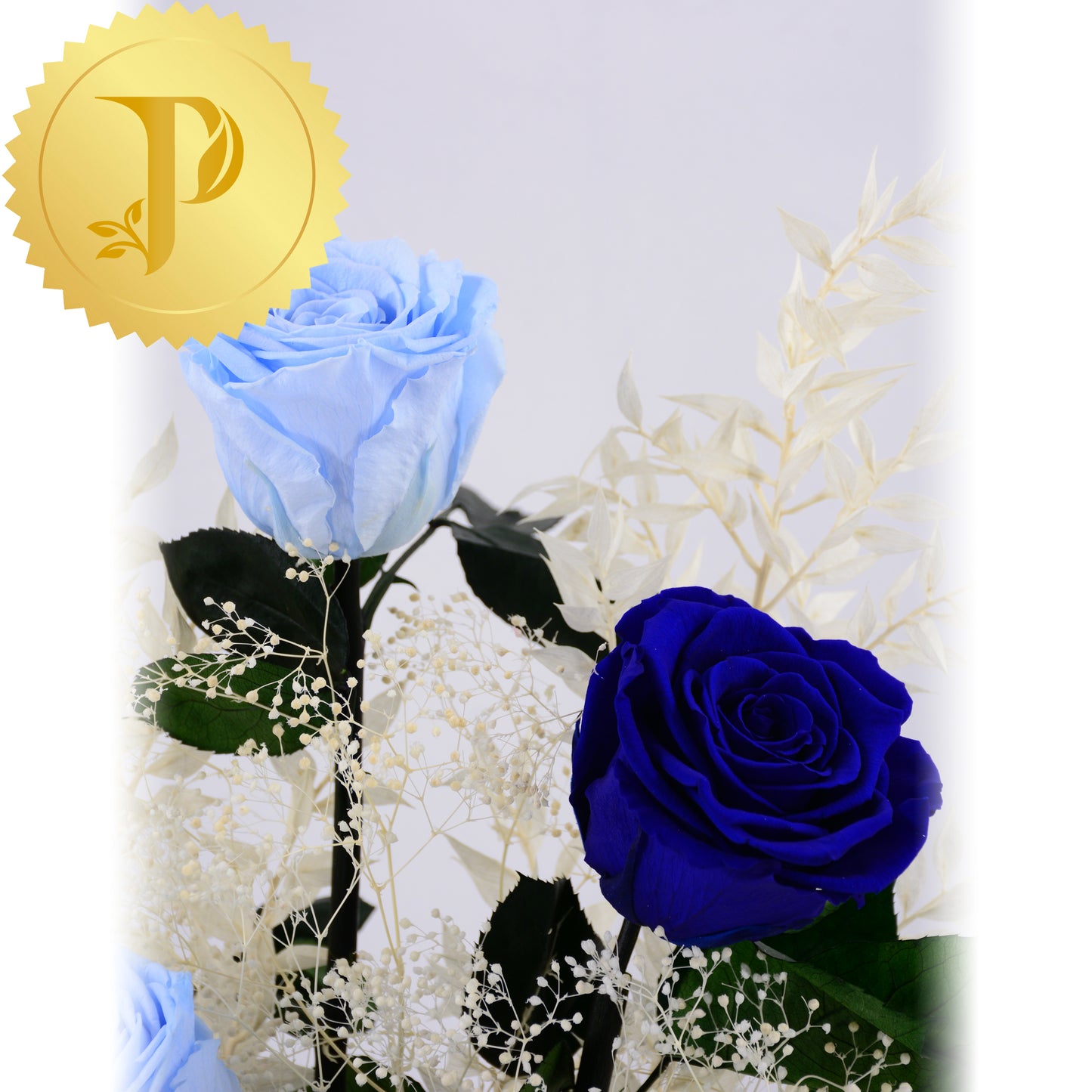 Rhapsody In Blue
