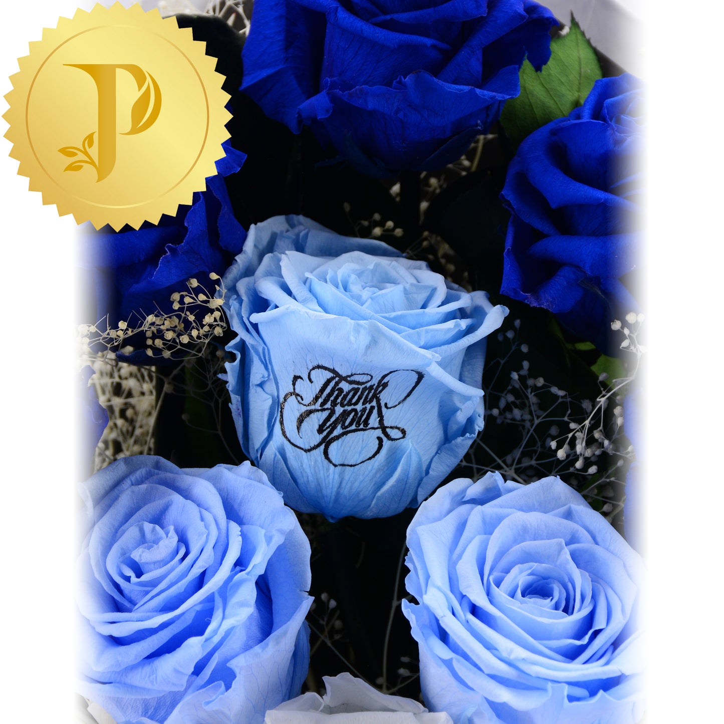Blueberry Hill 2