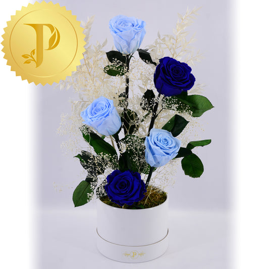 Rhapsody In Blue
